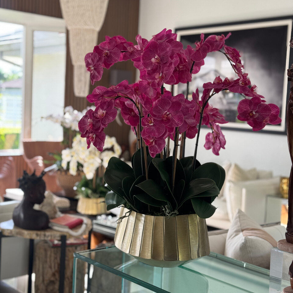 Jardinière bateau Helena avec orchidées Phalaenopsis roses