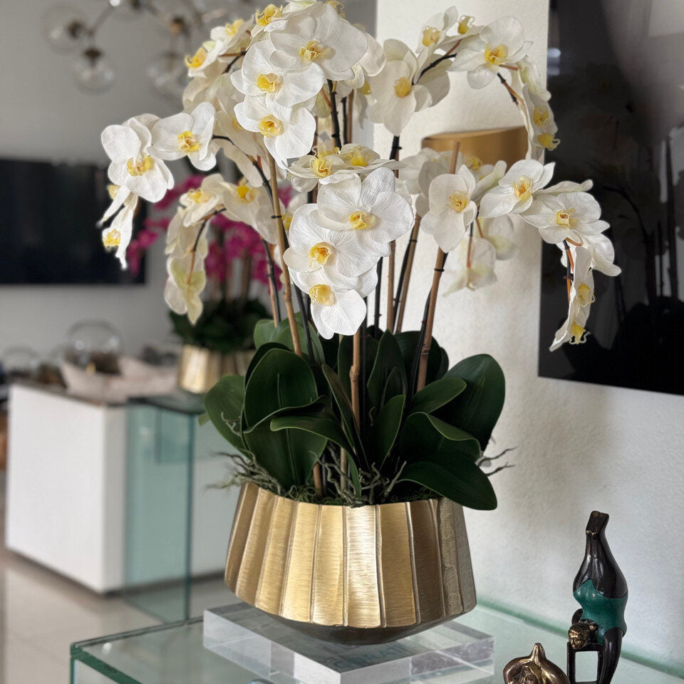 Jardinière bateau Helena avec orchidées Phalaenopsis blanches