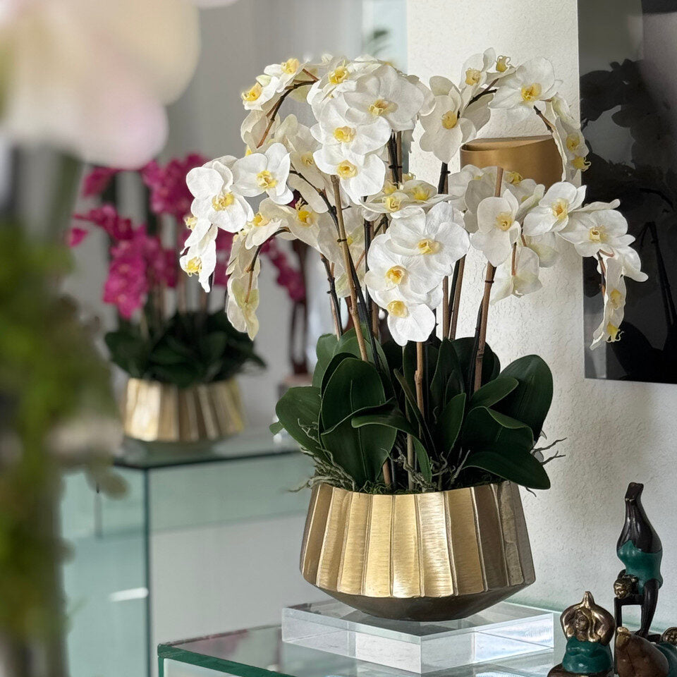 Jardinière bateau Helena avec orchidées Phalaenopsis blanches
