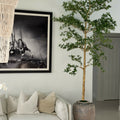 Jardinière Parthénon avec un arbre Shady Lady de 2,74 m