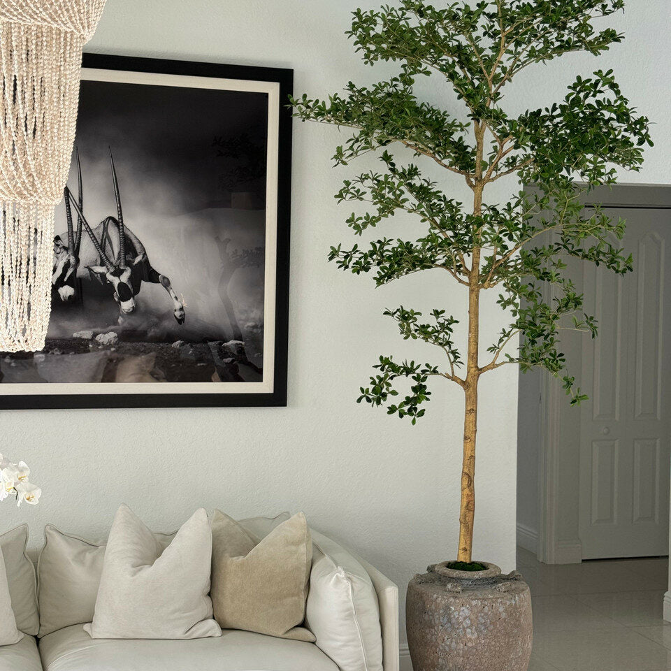 Jardinière Parthénon avec un arbre Shady Lady de 2,74 m