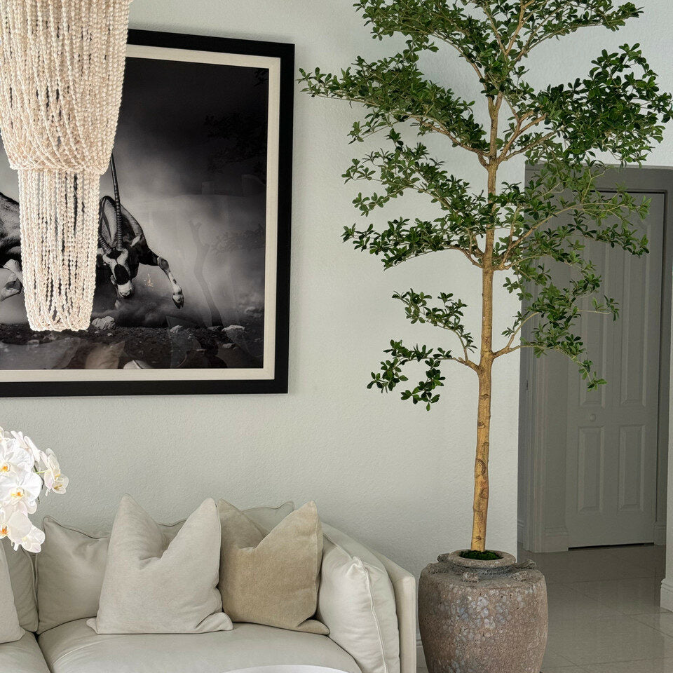 Jardinière Parthénon avec un arbre Shady Lady de 2,74 m