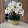 Bol Blaze avec orchidées Phalaenopsis blanches