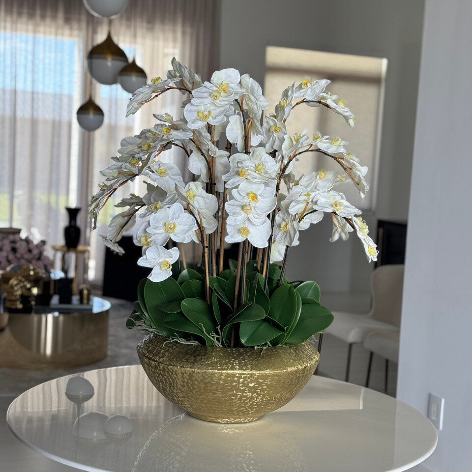 Bol Blaze avec orchidées Phalaenopsis blanches