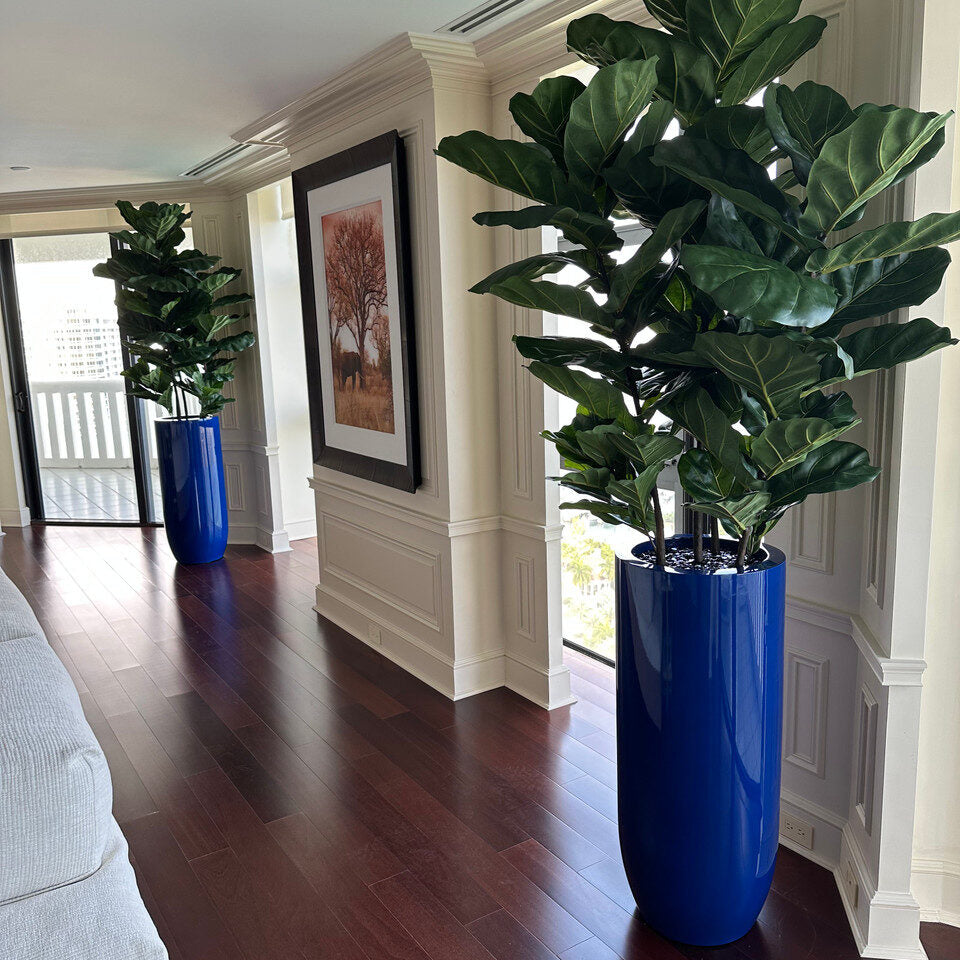 Arbre à feuilles de violon avec pot St. Tropez bleu cobalt brillant