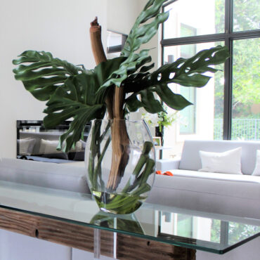 Vase Lune avec feuille de Monstera et bois flotté