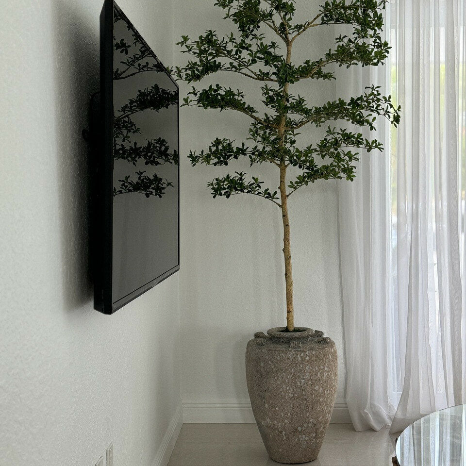 Jardinière Parthénon avec un arbre Shady Lady de 2,13 m