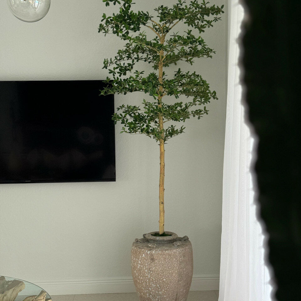 Jardinière Parthénon avec un arbre Shady Lady de 2,13 m