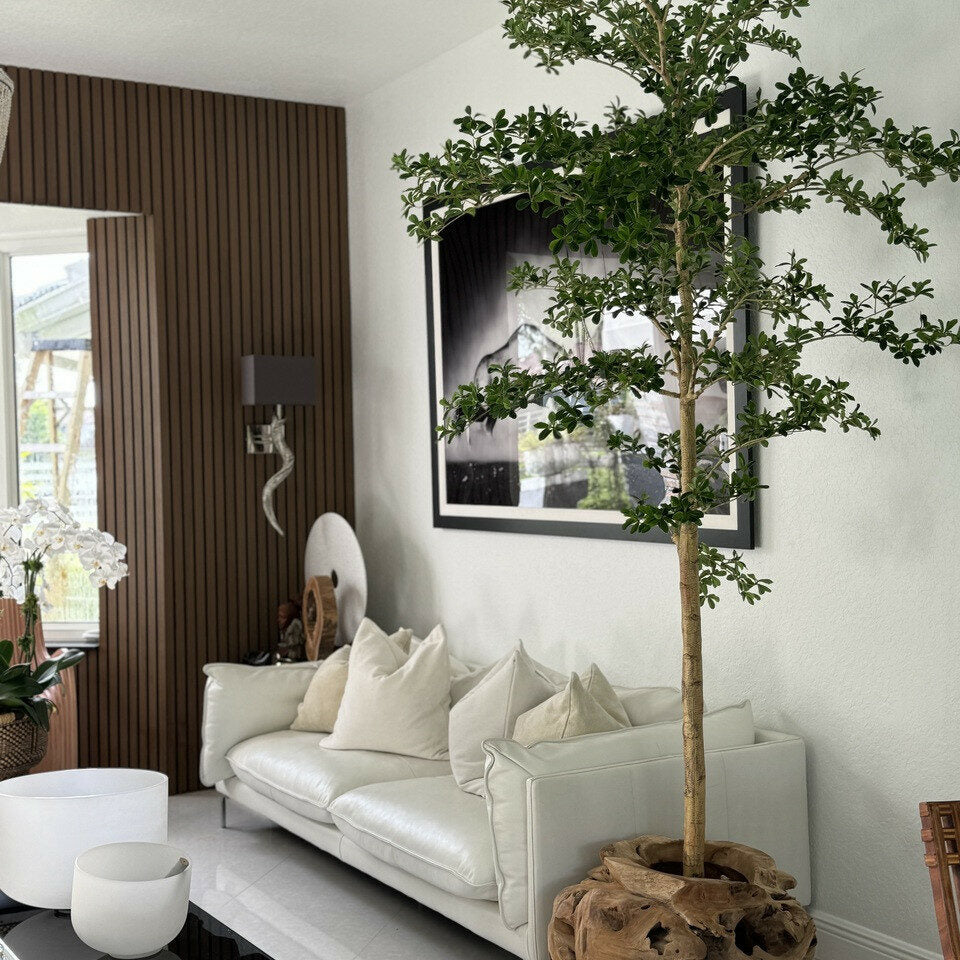 Jardinière unique en teck sculptée à la main avec un arbre Shady Lady de 2,13 m