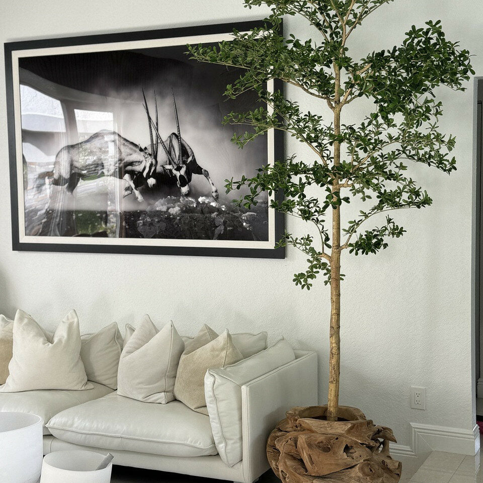 Jardinière unique en teck sculptée à la main avec un arbre Shady Lady de 2,13 m