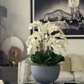 Orchidées blanches dans un bol en fibre de pierre grise brillante