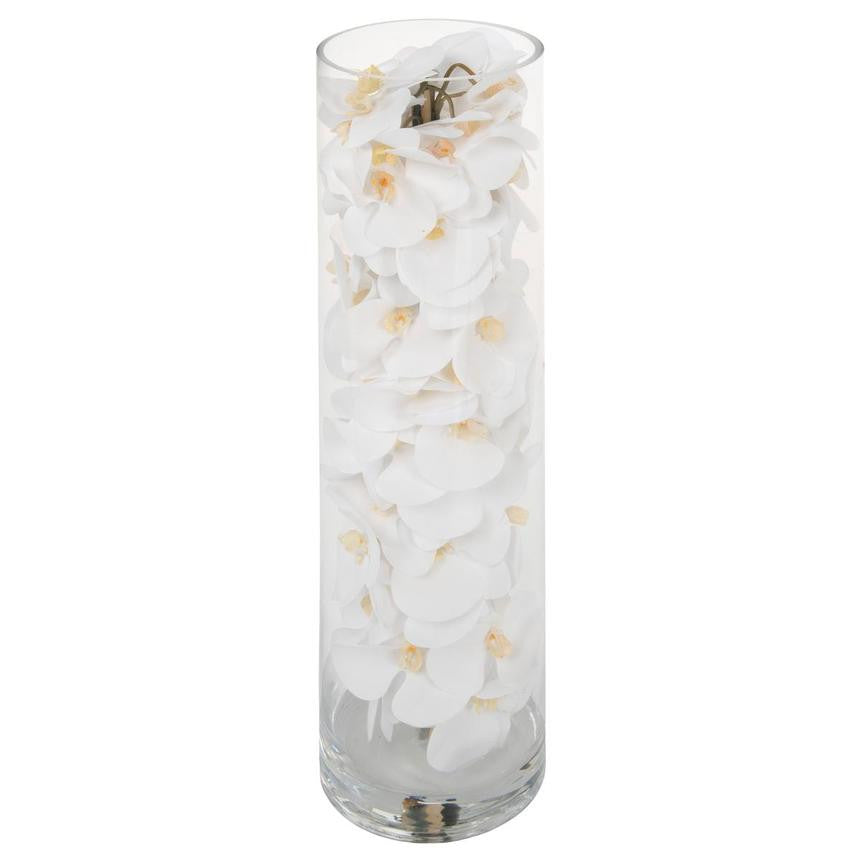 Cylindre de verre contenant des orchidées Phalaenopsis blanches